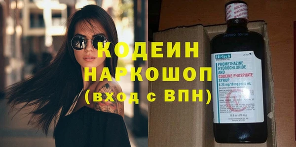 прущие грибы Лабытнанги