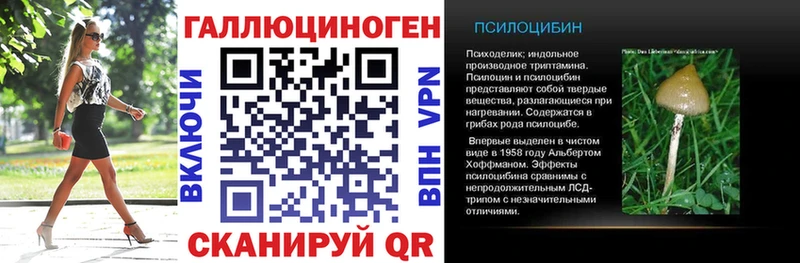 Галлюциногенные грибы GOLDEN TEACHER  как найти закладки  Коркино 