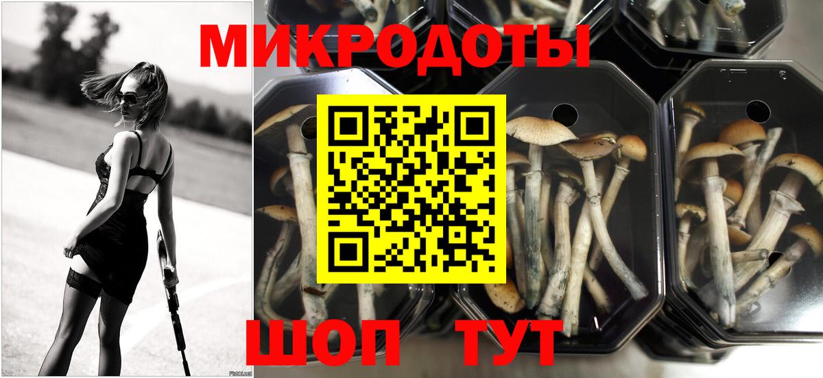 Псилоцибиновые грибы прущие грибы Коркино